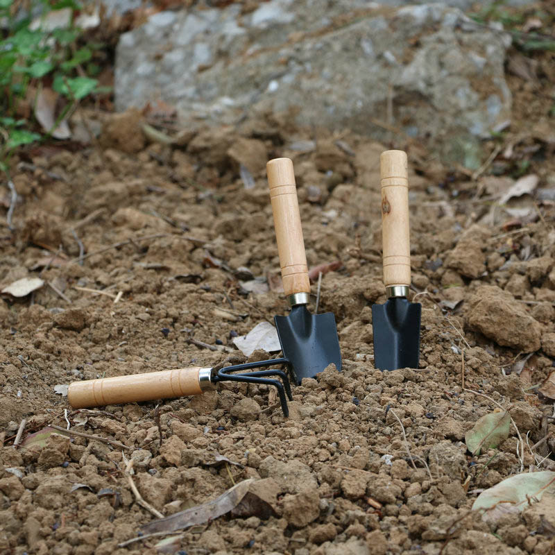 3Pcs/Set Mini Garden Tool Set  - Gardening Tools For Weeds ulasan dan harga