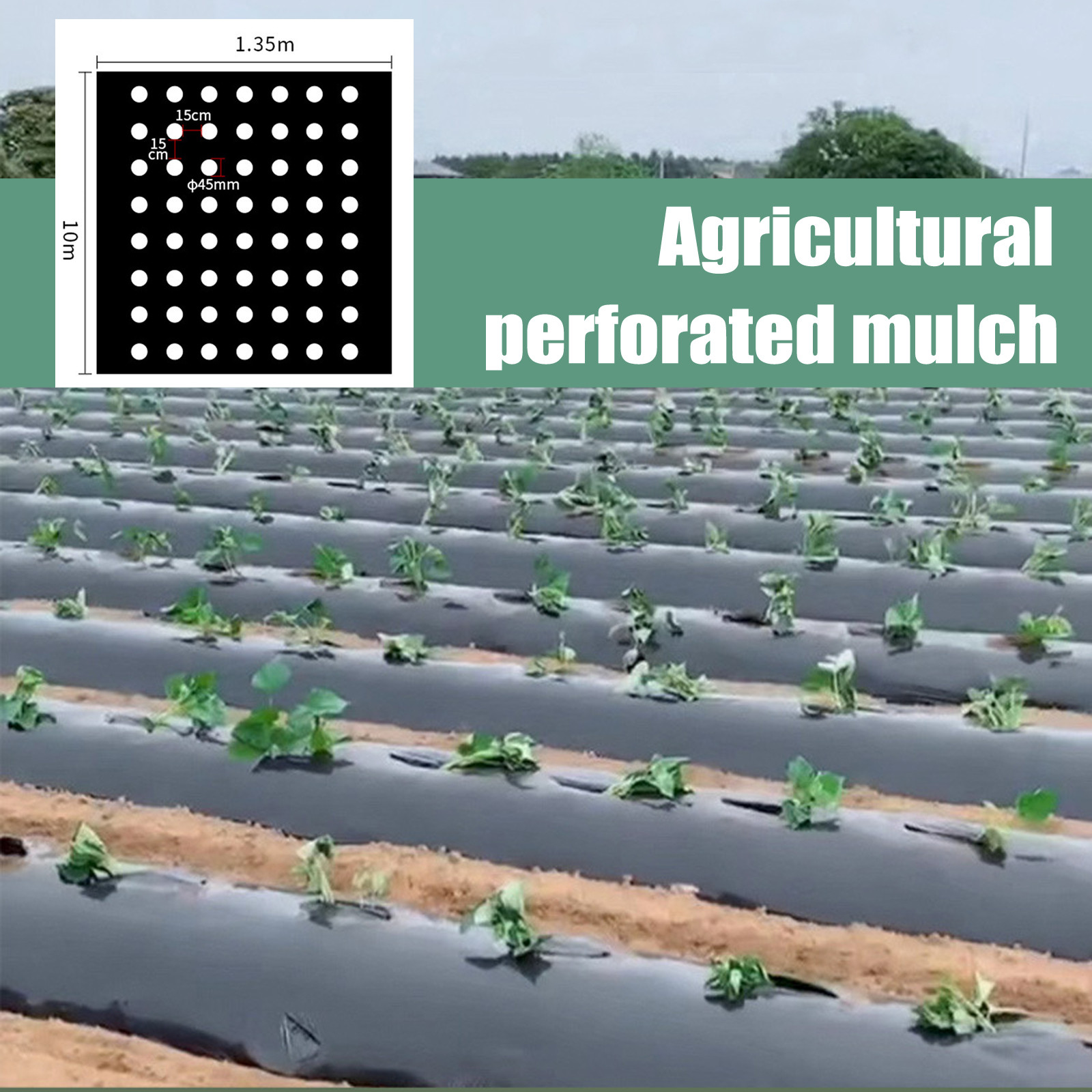 PE Perforated Mulch Film Farm  - Gardening Tools For Weeds ulasan dan harga