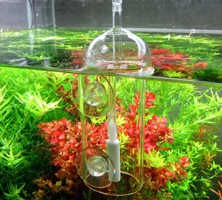VIV Do Device Aquarium Cylinde - Aquaponics Fish Tank ulasan dan harga