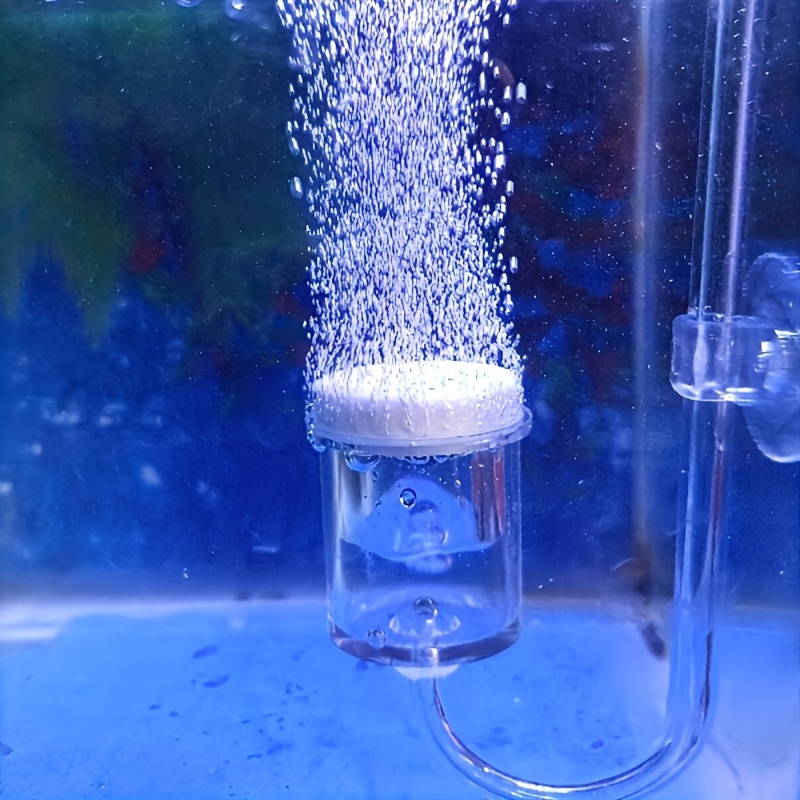 Aquarium Glass CO2 Atomizer Di - Aquaponics Fish Tank ulasan dan harga