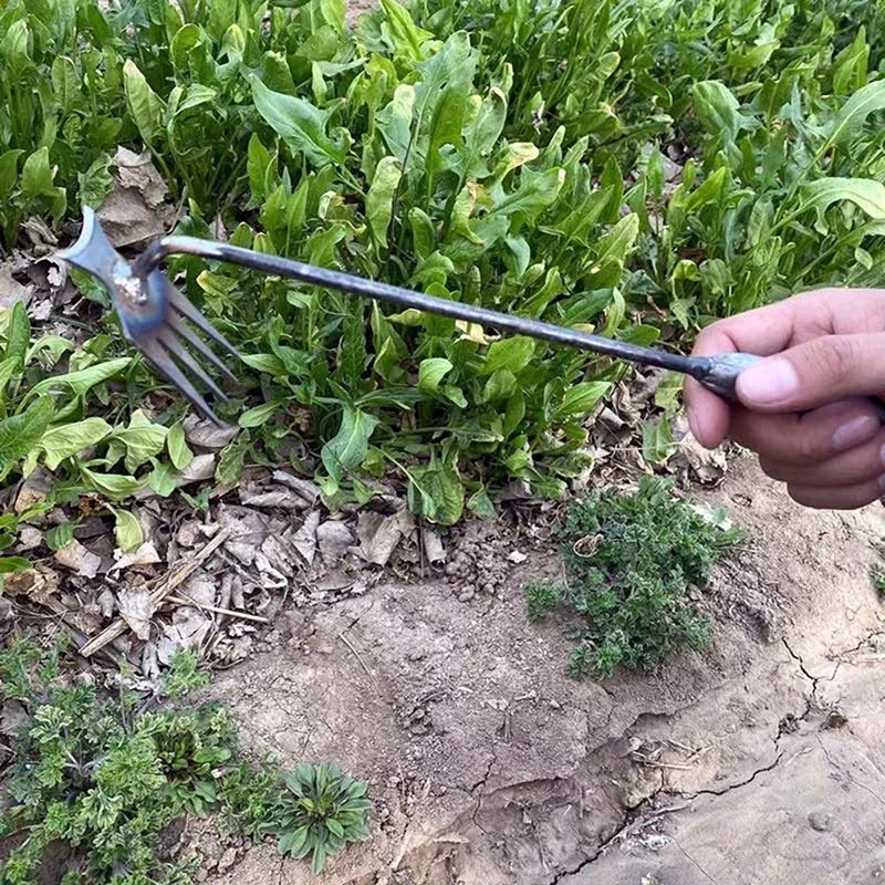 Garden Weeders Grass Hand Weed - Gardening Tools For Weeds ulasan dan harga