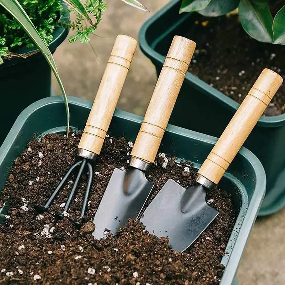 3Pcs/Set Mini Garden Tool Set  - Gardening Tools For Weeds ulasan dan harga