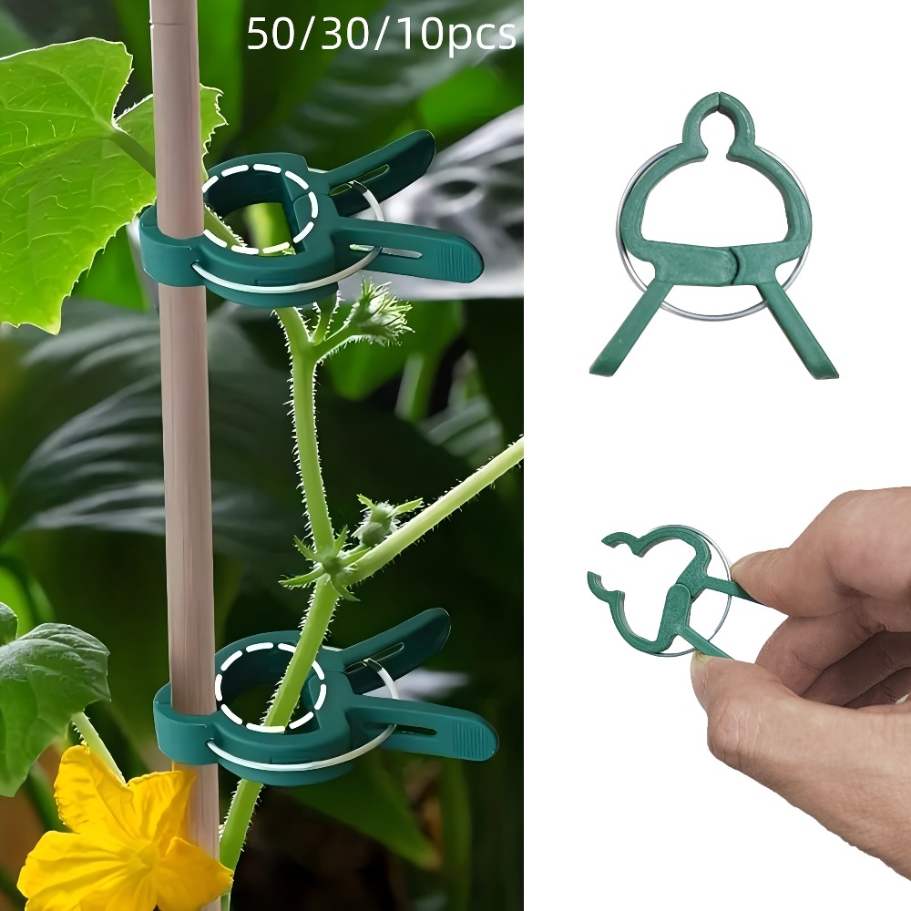 10/30/50pcs Adjustable Plant C - Gardening Tools Essential ulasan dan harga