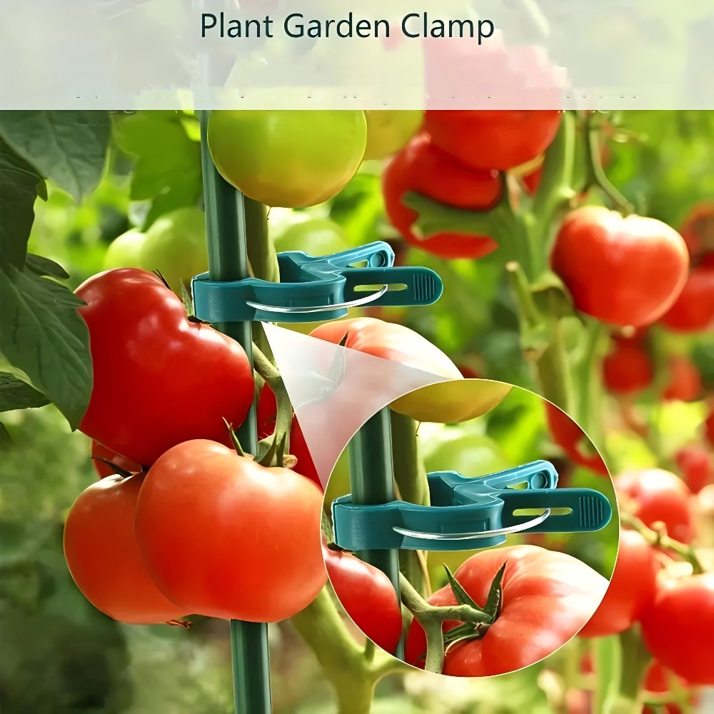 10/30/50pcs Adjustable Plant C - Gardening Tools Essential ulasan dan harga