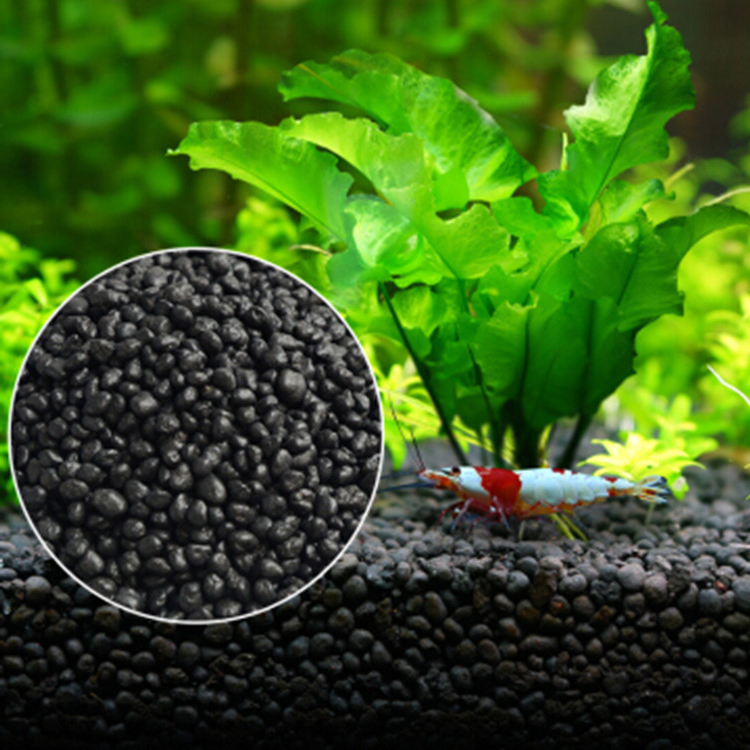 Aquarium Plant Seeds Soil Fish - Aquaponics Fish Tank ulasan dan harga